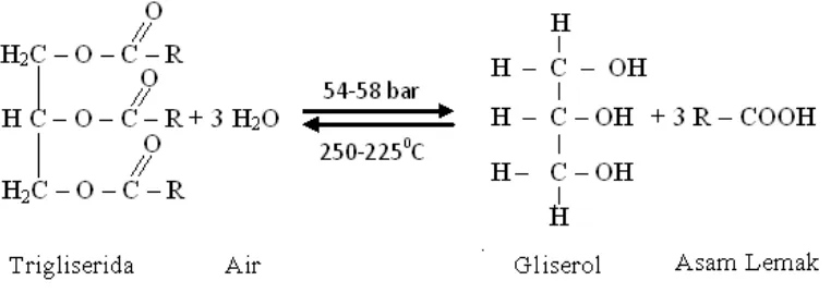 Gambar 3. Reaksi Pembentukan Gliserol 