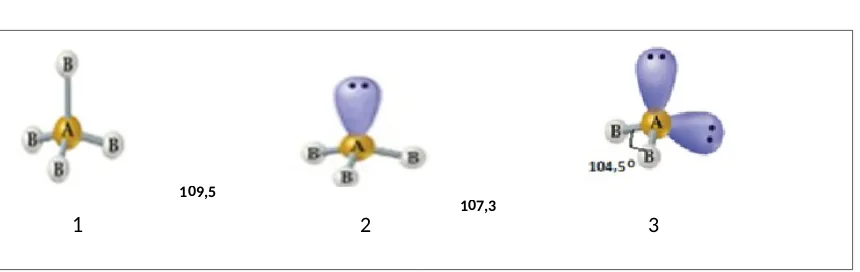 Tabel Hubungan antara PEI, PEB, bentuk molekul dan contoh serta gambar