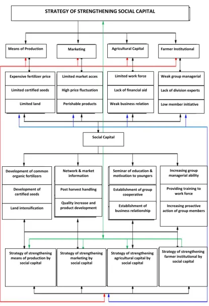 Figure 2.Feedback Network in Strengthening the Social Capital in the Farmer Groups 
