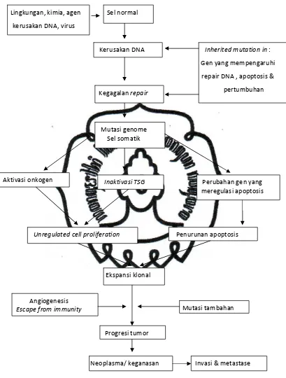 Gambar  2.1. Flow chart dasar biomolekuler kanker dengan modifikasi ( dikutip 