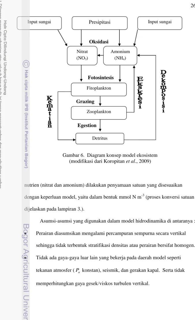 Gambar 6.  Diagram konsep model ekosistem   (modifikasi dari Koropitan et al., 2009) 