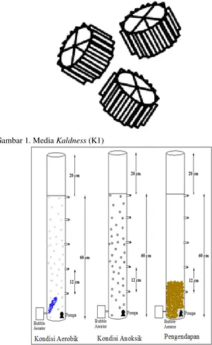 Gambar 1. Media Kaldness (K1) 
