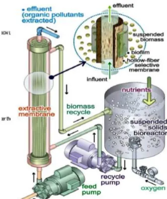Gambar 5.  Cara kerja Membran Bio reactor  [11] 