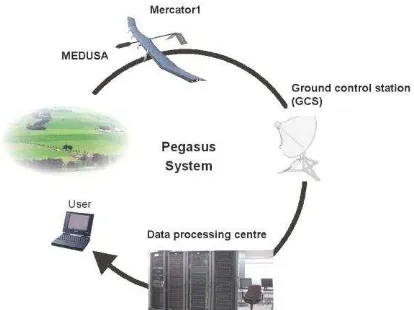 Figure 1 Schematic overview of the Pegasus system  