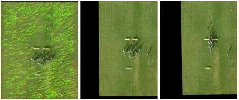 Figure 3. Comparison of an image from the UAV Falcon 8 and an image from the airborne 3K camera system: Representation of pedestrians