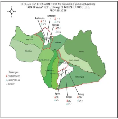 Gambar 6. Peta sebaran dan kerapatan populasi Pratylenchus sp dan Radopholus sp pada tanaman kopi (Coffea sp) di Kabupaten Gayo Lues