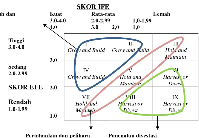 Gambar 5  Model matriks Internal External (IE) 