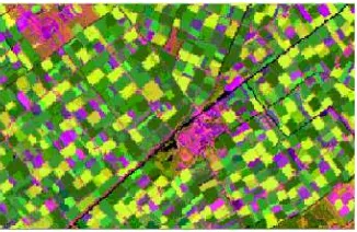 Figure 1. Landsat Thematic Mapper (TM) image (bands 3, 4, 5), Biddinghuizen, the Netherlands  