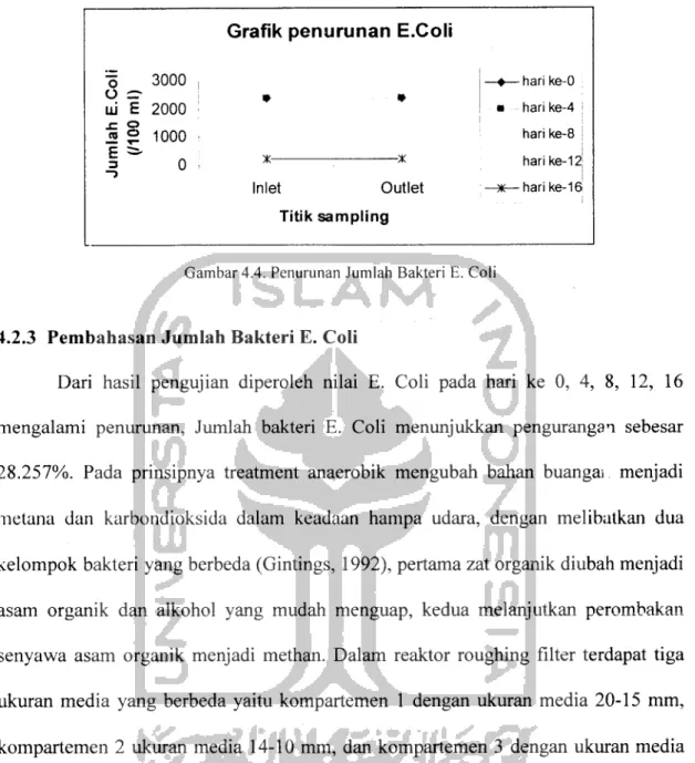 Grafik penurunan E.Coli