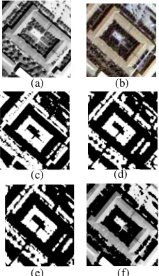 Figure 2. (a) PAN image (b) Bilaterally filtered result 