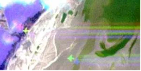 Figure 11: Detailled view of a plane in a RapidEye image, section1500 × 750 m, all ﬁve channels (left to right): red, red-edge (asyellow), NIR (as purple), green, blue