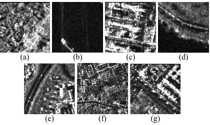 Figure 1: EO data set of 1230 SAR images grouped in seven non-equal size classes. (a) forest, (b) water, (c) medium density urbanarea, (d) forest + water, (e) roads, (f) high density urban area, and(g) urban area + roads).