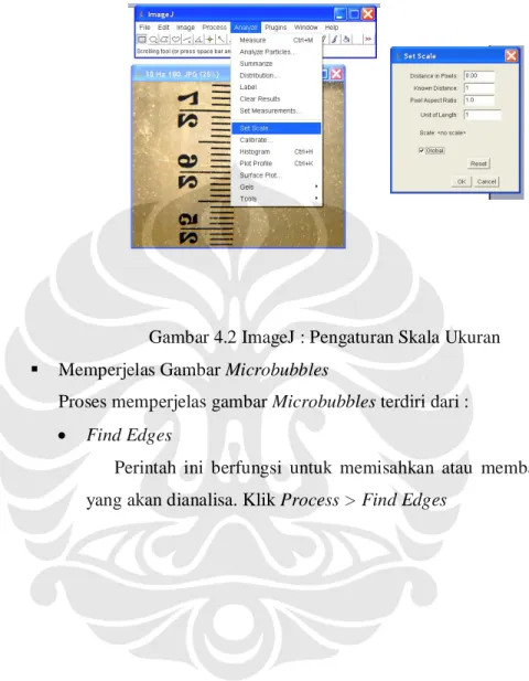 Gambar 4.2 ImageJ : Pengaturan Skala Ukuran   