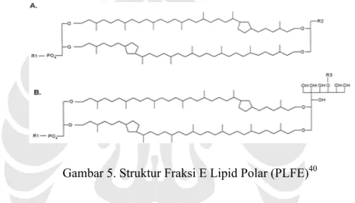Gambar 5. Struktur Fraksi E Lipid Polar (PLFE) 40