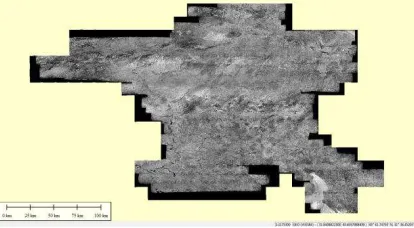 Figure 19. Orthophoto from old dated aerial photographs Ankara 