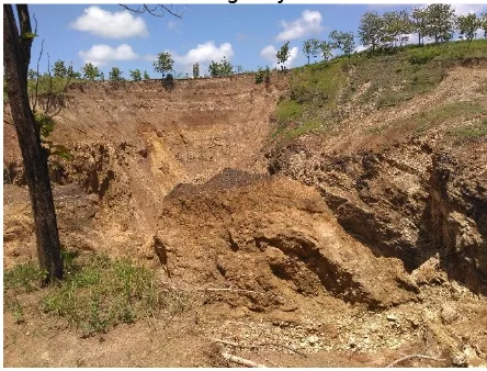 Gambar 1. Luweng Anyar di Dusun Serpeng Wetan, Desa Pacarejo,Kecamatan Semanu, Kabupaten Gunungkidul.