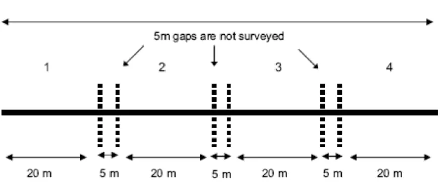 Gambar 2. Design Pengambilan Data Reef check (Hodgson dkk. 2006). 