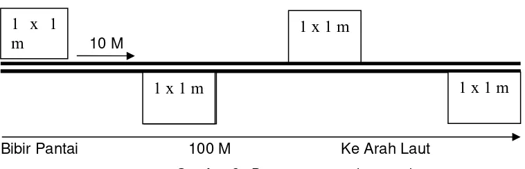 Gambar 2.  Pemasangan garis transek 