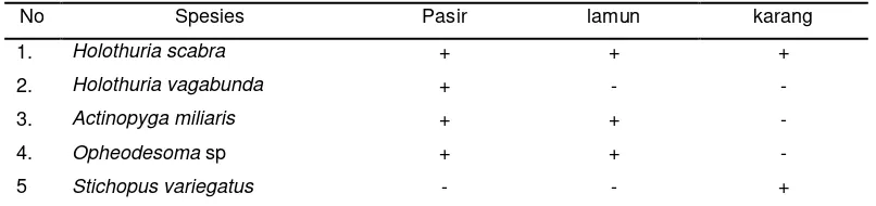 Tabel 2.  Penyebaran teripang berdasarkan mikrohabitat pada Stasiun I di Pantai Teluk Lombok 