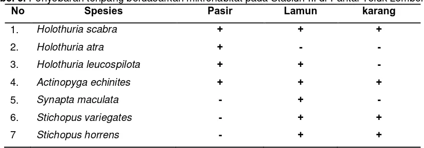 Tabel 5. Penyebaran teripang berdasarkan mikrohabitat pada Stasiun III di Pantai Teluk Lombok No Spesies Pasir Lamun karang 