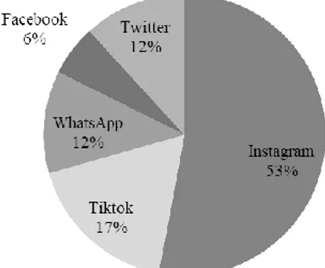 Gambar 4. Persentase Jumlah Narasumber   menurut Media Sosial sebagai Sumber Informasi Toko X 