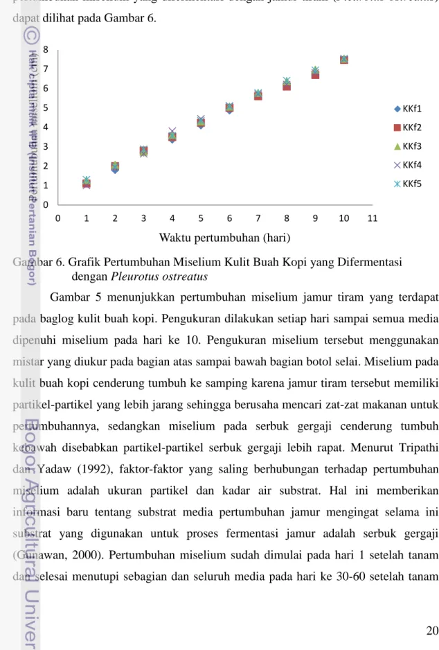 Gambar 6. Grafik Pertumbuhan Miselium Kulit Buah Kopi yang Difermentasi               dengan Pleurotus ostreatus 