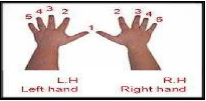 Gambar 4.5 Penomoran jari tangan kanan dan kiri 