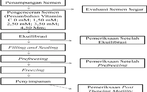 Gambar 4. Bagan prosedur kerja penelitian 