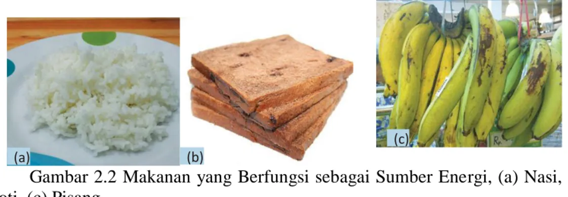 Gambar 2.2 Makanan yang Berfungsi sebagai Sumber Energi, (a) Nasi, (b)  Roti, (c) Pisang 
