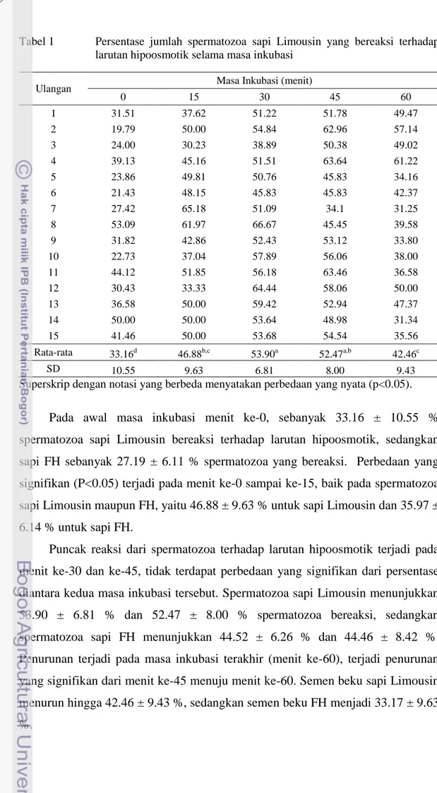 Tabel 1  Persentase  jumlah  spermatozoa  sapi  Limousin  yang  bereaksi  terhadap  larutan hipoosmotik selama masa inkubasi 