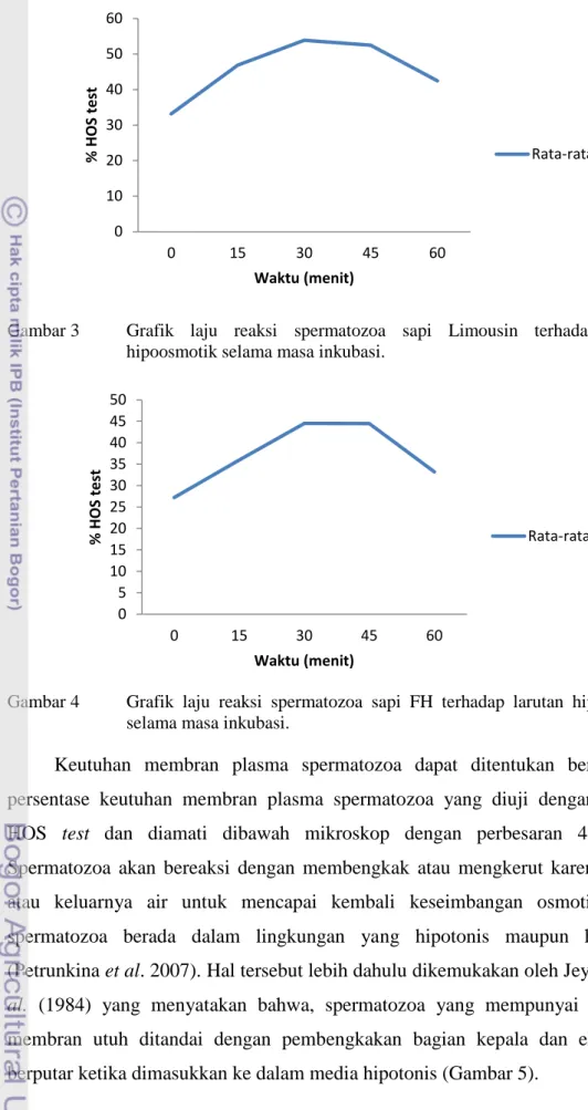 Gambar 3  Grafik  laju  reaksi  spermatozoa  sapi  Limousin  terhadap  larutan  hipoosmotik selama masa inkubasi