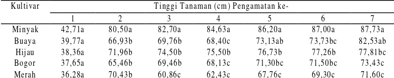 Tabel 2.  Nilai rataan tinggi tanaman pada  pengamatan ke-1 sampai ke -7 pada lima populasi   nanas