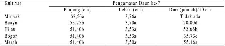 Tabel 4. Nilai rataan jumlah daun pengamatan ke-1 sampai ke -3 pada lima populasi nanas 