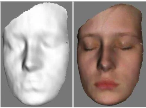Figure 5. Sample of face 3-D model 