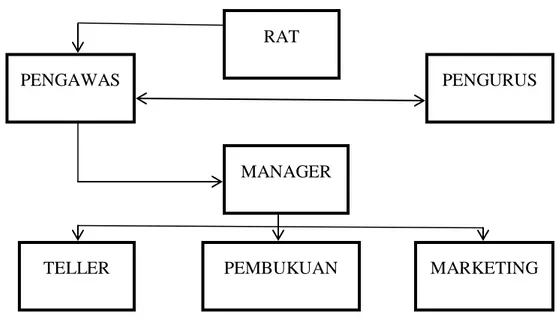 Gambar 3.1 Struktur Organisasi KSPPS BMT Walisongo Semarang PENGAWAS RAT  PENGURUS MANAGER  MARKETING PEMBUKUAN TELLER 