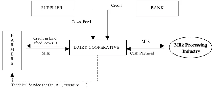 Figure 2. Cooperative Model in Dairy Development in Indonesia. 