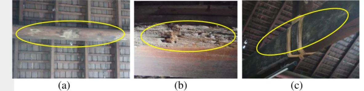 Gambar  18    Kerusakan  pada  komponen  balok  gording  dan  balok  bin:  (a)  bercak   akibat jamur; (b) serangan jamur pelapuk; (c) perubahan warna kayu  Bentuk  kerusakan  lain  pada  kompenen  atap  terjadi  pada  bagian  penutup  atap  sirap  yang  m