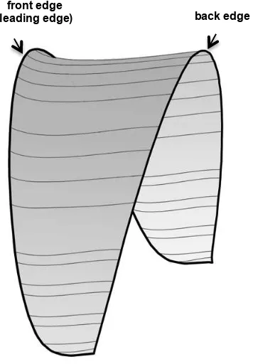 Fig. 10: Final 3D model of the paraglider’s lower surface 