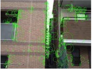 Figure 3. Feature points extraction by SURF 