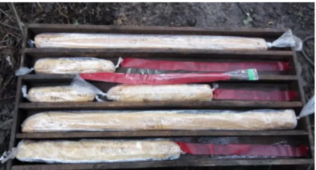 Gambar 3. Contoh inti batuan dalam core box 