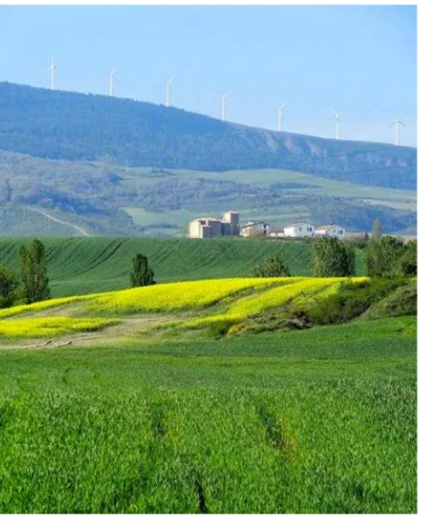 Figure 2. The wind farm as seen from the Way of St. James on top of the Alto del Perdón