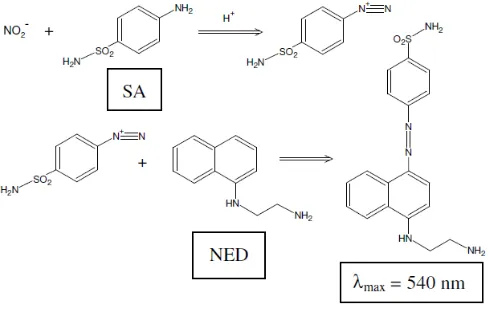 Gambar 2.1  Skema reaksi diazotasi (Sun, 2003)