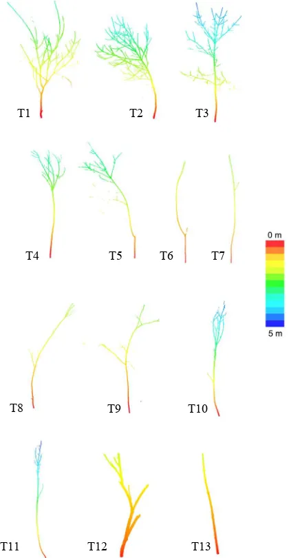Figure 1. Tree point clouds of data set A.  