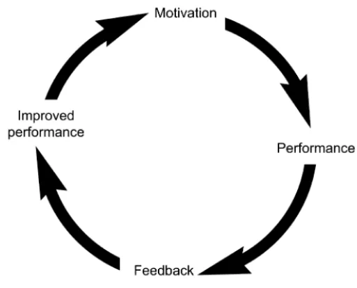 Figure 3.1 The improvement cycle