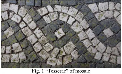 Fig. 1 “Tesserae” of mosaic 