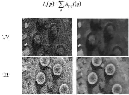 Figure 1. Examples of diffusion filtering for denoising of TV and IR images  