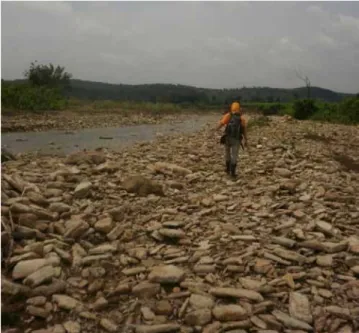Gambar 4.5 Tebing sungai dengan kemiringan  lereng  30% - 45%. Lokasi Sungai Cikeusal