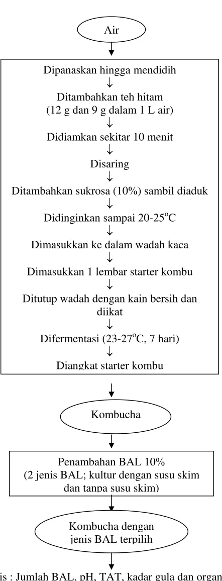 Gambar 2. Pembuatan Kombucha Probiotik 