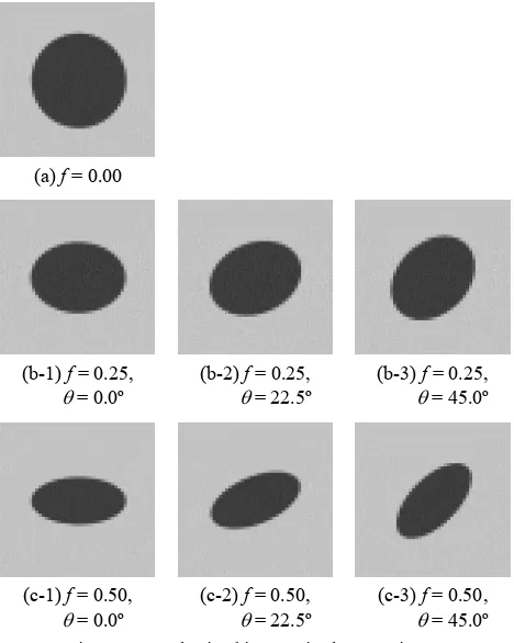 Figure 2. Synthesized images in the experiment 