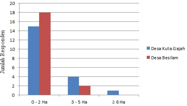 Gambar 3. Histogram jumlah responden berdasarkan luas lahan yang diusahakan 